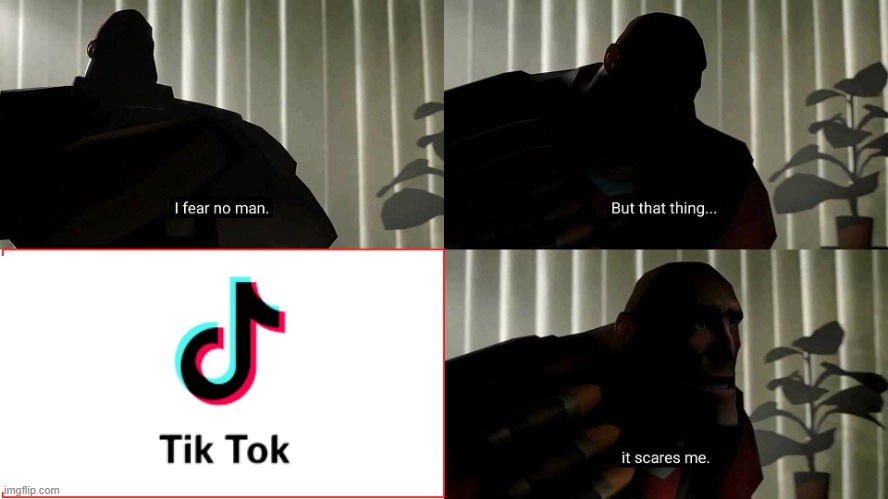 Death to tik tok | image tagged in tf2 heavy i fear no man | made w/ Imgflip meme maker