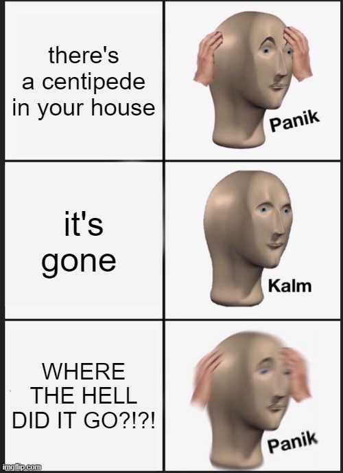 PANIK PANIK PANIK!!!! | there's a centipede in your house; it's gone; WHERE THE HELL DID IT GO?!?! | image tagged in memes,panik kalm panik | made w/ Imgflip meme maker