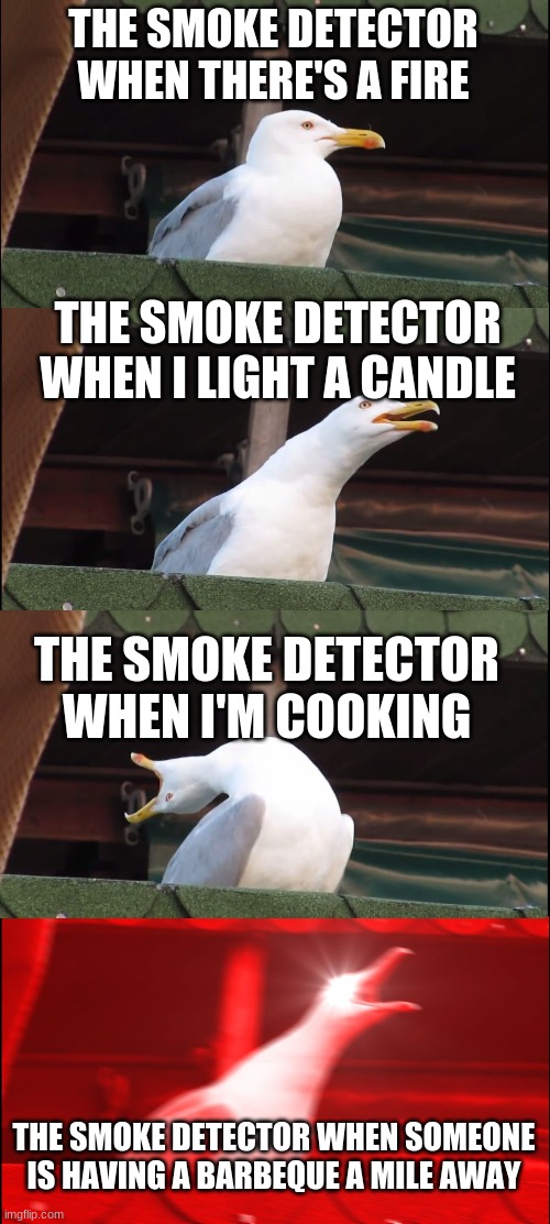 Inhaling Seagull Meme | THE SMOKE DETECTOR WHEN THERE'S A FIRE; THE SMOKE DETECTOR WHEN I LIGHT A CANDLE; THE SMOKE DETECTOR WHEN I'M COOKING; THE SMOKE DETECTOR WHEN SOMEONE IS HAVING A BARBEQUE A MILE AWAY | image tagged in memes,inhaling seagull | made w/ Imgflip meme maker