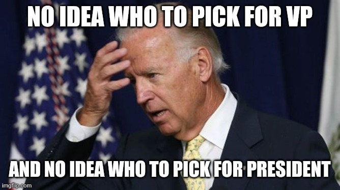 Joe Biden worries | NO IDEA WHO TO PICK FOR VP; AND NO IDEA WHO TO PICK FOR PRESIDENT | image tagged in joe biden worries | made w/ Imgflip meme maker