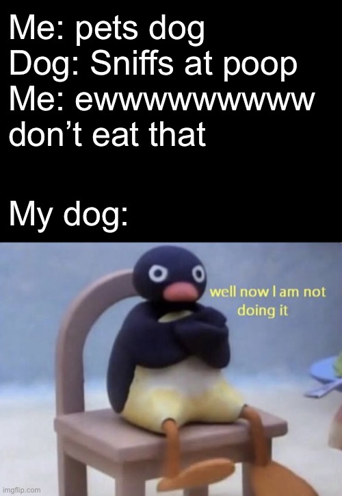 Poor doggy, it just wants to eat poop! XD that sounds so gross... | Me: pets dog
Dog: Sniffs at poop
Me: ewwwwwwwww
don’t eat that; My dog: | image tagged in well now i am not doing it | made w/ Imgflip meme maker