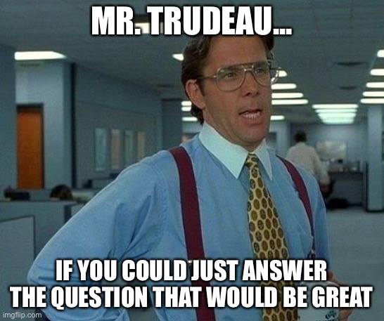 Trudeau question | MR. TRUDEAU... IF YOU COULD JUST ANSWER THE QUESTION THAT WOULD BE GREAT | image tagged in memes,that would be great | made w/ Imgflip meme maker