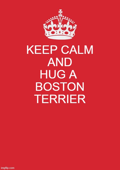 Keep Calm And Carry On Red Meme | KEEP CALM
AND
HUG A 
BOSTON
TERRIER | image tagged in memes,keep calm and carry on red | made w/ Imgflip meme maker