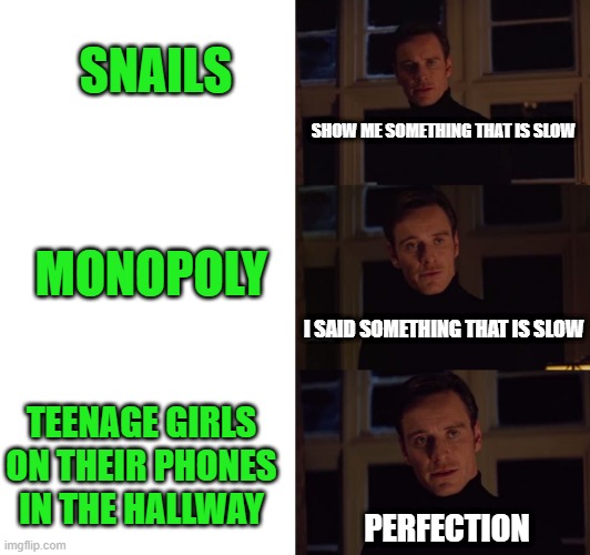 slowness | SNAILS; SHOW ME SOMETHING THAT IS SLOW; MONOPOLY; I SAID SOMETHING THAT IS SLOW; TEENAGE GIRLS ON THEIR PHONES IN THE HALLWAY; PERFECTION | image tagged in perfection | made w/ Imgflip meme maker