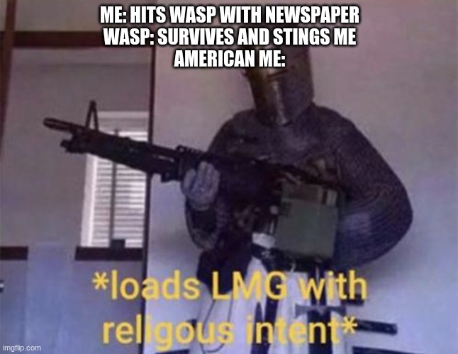 Loads LMG with religious intent | ME: HITS WASP WITH NEWSPAPER
WASP: SURVIVES AND STINGS ME
AMERICAN ME: | image tagged in loads lmg with religious intent | made w/ Imgflip meme maker