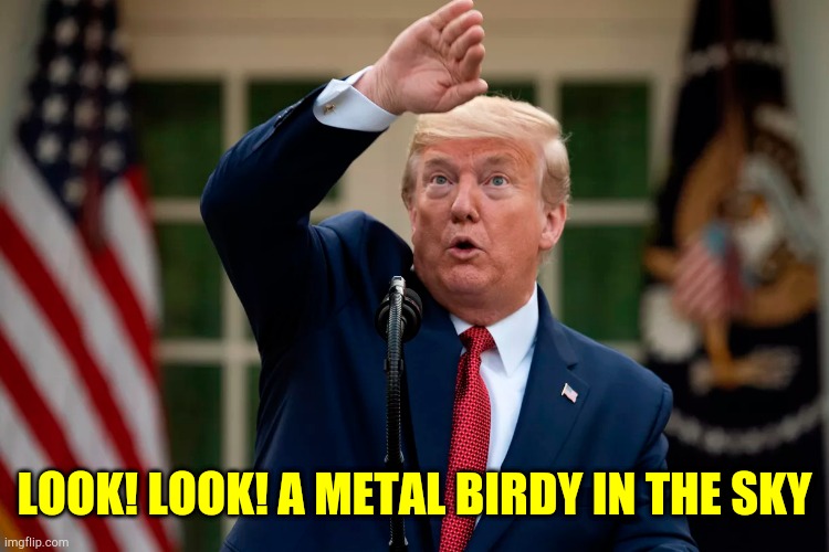 Trump | LOOK! LOOK! A METAL BIRDY IN THE SKY | image tagged in trump meme | made w/ Imgflip meme maker