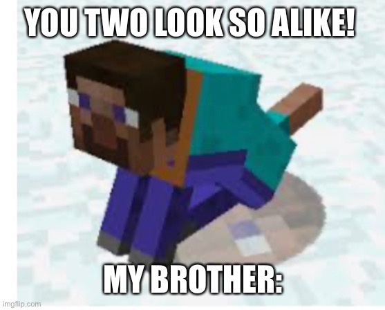 Steve the wolf | YOU TWO LOOK SO ALIKE! MY BROTHER: | image tagged in steve the wolf | made w/ Imgflip meme maker