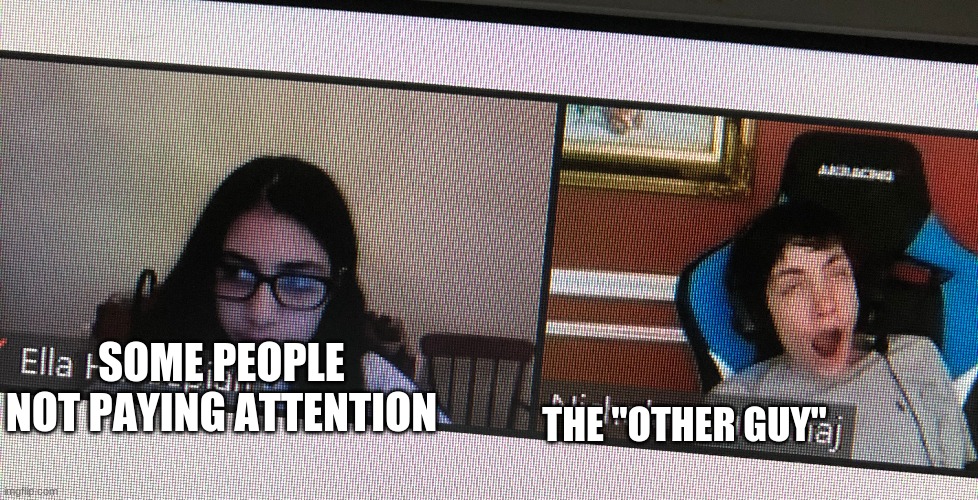 Zoom Meetings | SOME PEOPLE NOT PAYING ATTENTION; THE "OTHER GUY" | image tagged in coronavirus,zoom meetings,quarintine | made w/ Imgflip meme maker
