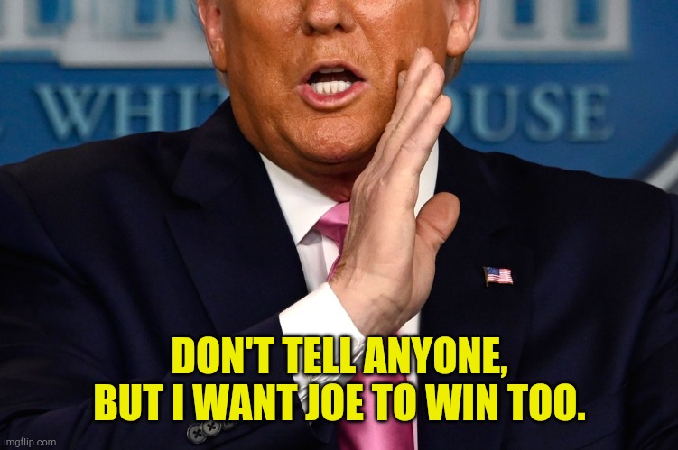 Election | DON'T TELL ANYONE, BUT I WANT JOE TO WIN TOO. | image tagged in donald trump | made w/ Imgflip meme maker