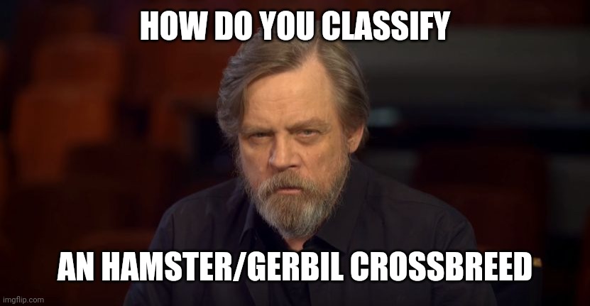 RIP my 'large' dwarf hamster Franny (just a joke; not crossbreeds) | HOW DO YOU CLASSIFY; AN HAMSTER/GERBIL CROSSBREED | image tagged in mark hamill death | made w/ Imgflip meme maker