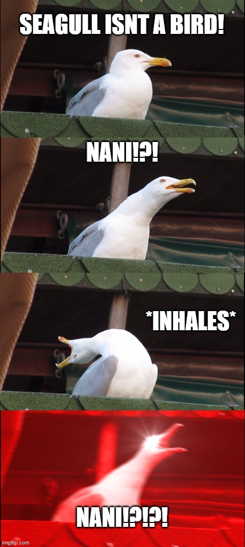 Inhaling Seagull | SEAGULL ISNT A BIRD! NANI!?! *INHALES*; NANI!?!?! | image tagged in memes,inhaling seagull | made w/ Imgflip meme maker