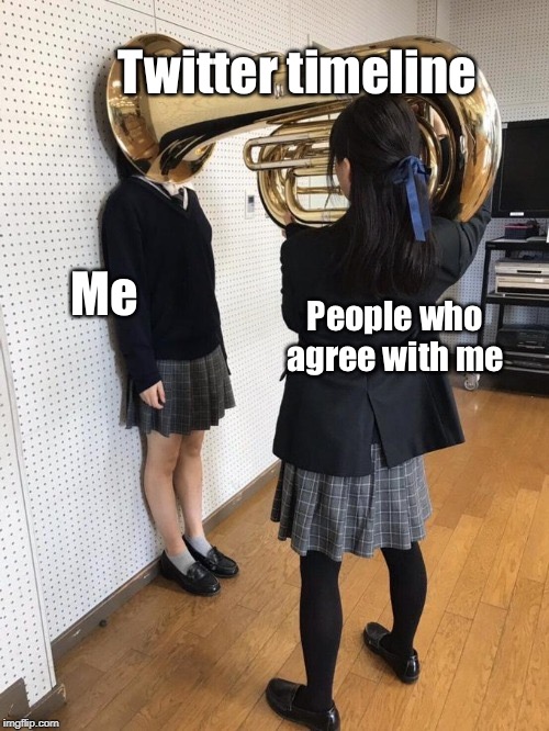 Girl With Tuba On Her Head (Textbox fixed) | Twitter timeline; Me; People who agree with me | image tagged in girl with tuba on her head textbox fixed | made w/ Imgflip meme maker