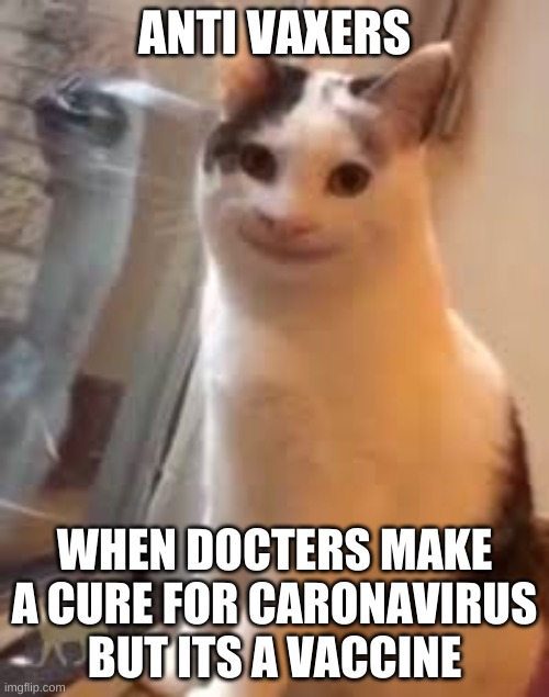 cursed cat | ANTI VAXERS; WHEN DOCTERS MAKE A CURE FOR CARONAVIRUS BUT ITS A VACCINE | image tagged in communist socialist | made w/ Imgflip meme maker
