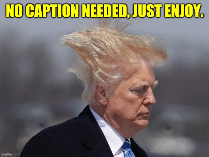 Reality bites | NO CAPTION NEEDED, JUST ENJOY. | image tagged in donald trump | made w/ Imgflip meme maker