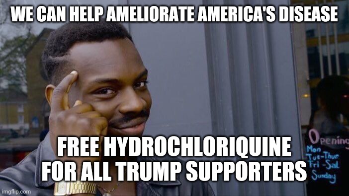 Roll Safe Think About It Meme | WE CAN HELP AMELIORATE AMERICA'S DISEASE; FREE HYDROCHLORIQUINE FOR ALL TRUMP SUPPORTERS | image tagged in memes,roll safe think about it | made w/ Imgflip meme maker