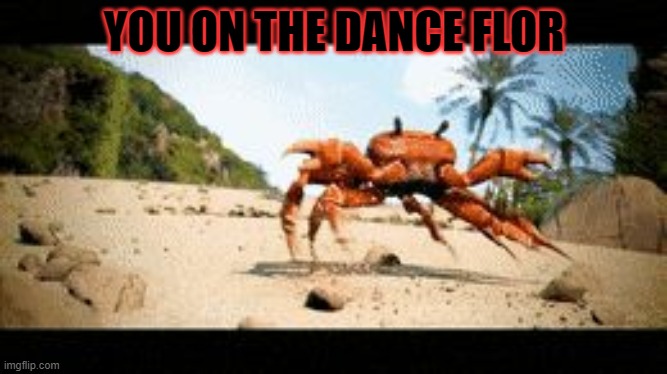 Crab rave gif | YOU ON THE DANCE FLOR | image tagged in crab rave gif | made w/ Imgflip meme maker
