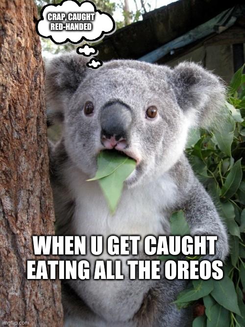 Surprised Koala Meme | CRAP, CAUGHT RED-HANDED; WHEN U GET CAUGHT EATING ALL THE OREOS | image tagged in memes,surprised koala | made w/ Imgflip meme maker