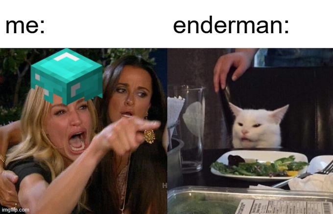 Woman Yelling At Cat Meme | me:; enderman: | image tagged in memes,woman yelling at cat | made w/ Imgflip meme maker