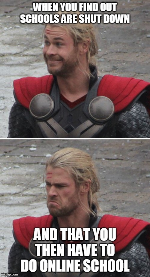Oh... so there is school | WHEN YOU FIND OUT SCHOOLS ARE SHUT DOWN; AND THAT YOU THEN HAVE TO DO ONLINE SCHOOL | image tagged in thor happy then sad | made w/ Imgflip meme maker