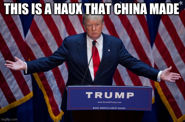 Donald Trump | THIS IS A HAUX THAT CHINA MADE | image tagged in donald trump | made w/ Imgflip meme maker