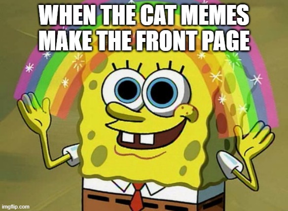 Imagination Spongebob | WHEN THE CAT MEMES MAKE THE FRONT PAGE | image tagged in memes,imagination spongebob | made w/ Imgflip meme maker