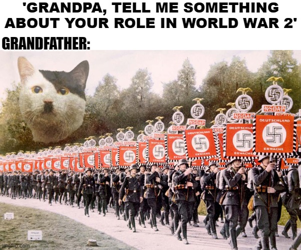 Nostalgia Intensifies | 'GRANDPA, TELL ME SOMETHING ABOUT YOUR ROLE IN WORLD WAR 2'; GRANDFATHER: | image tagged in hitler,nazi,kitler,meow,grandpa,veteran | made w/ Imgflip meme maker