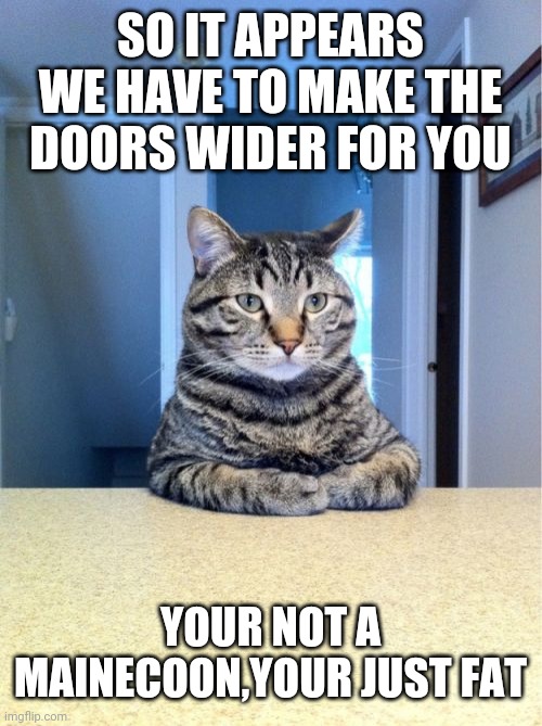 Take A Seat Cat Meme | SO IT APPEARS WE HAVE TO MAKE THE DOORS WIDER FOR YOU; YOUR NOT A MAINECOON,YOUR JUST FAT | image tagged in memes,take a seat cat | made w/ Imgflip meme maker