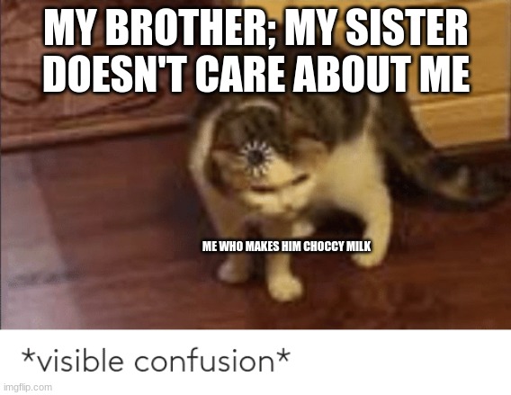 visible confusion | MY BROTHER; MY SISTER DOESN'T CARE ABOUT ME; ME WHO MAKES HIM CHOCCY MILK | image tagged in visible confusion | made w/ Imgflip meme maker