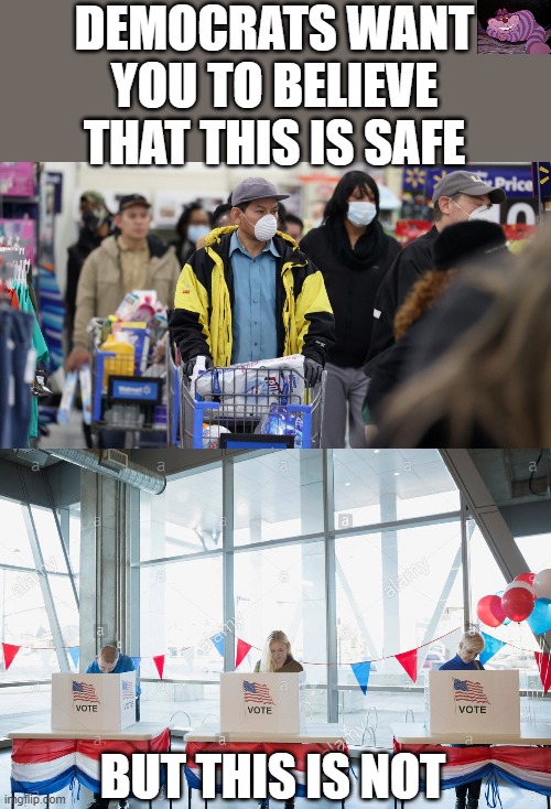 Maybe safety is not their goal | DEMOCRATS WANT YOU TO BELIEVE THAT THIS IS SAFE; BUT THIS IS NOT | image tagged in shopping,voting,ConservativeMemes | made w/ Imgflip meme maker