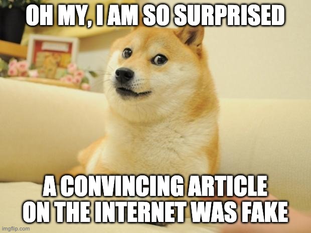 Doge 2 Meme | OH MY, I AM SO SURPRISED; A CONVINCING ARTICLE ON THE INTERNET WAS FAKE | image tagged in memes,doge 2 | made w/ Imgflip meme maker