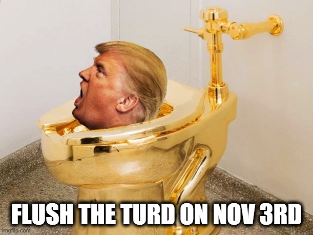 Flush The Turd on Nov 3rd | FLUSH THE TURD ON NOV 3RD | image tagged in donald trump,vote blue,trump | made w/ Imgflip meme maker