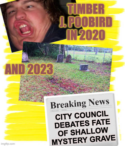 Attention Yellow Background | TIMBER J. POOBIRD IN 2020 AND 2023 CITY COUNCIL
DEBATES FATE
OF SHALLOW
MYSTERY GRAVE | image tagged in attention yellow background | made w/ Imgflip meme maker