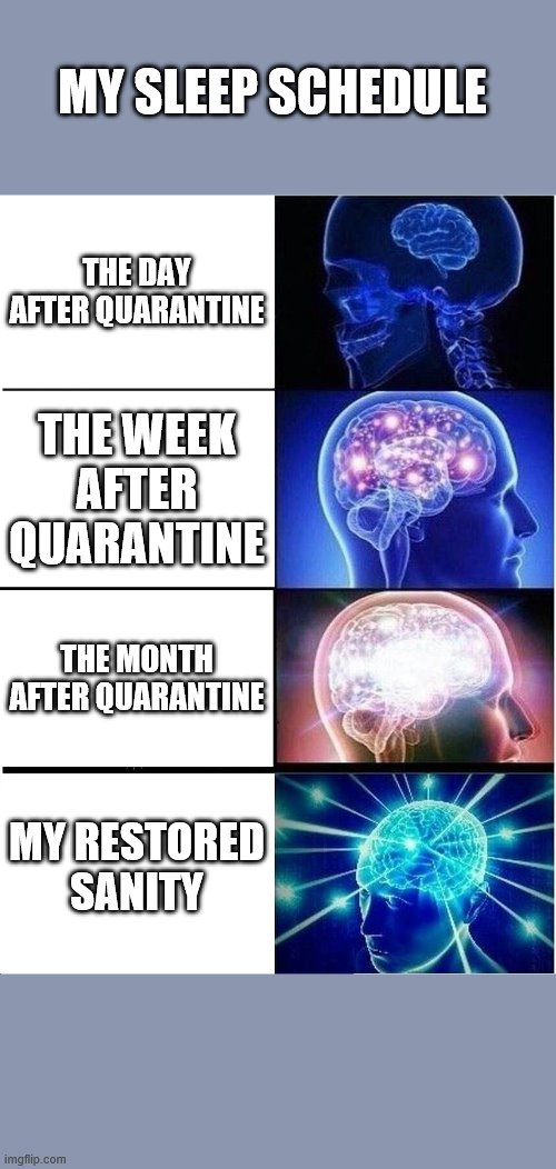 Expanding Brain Meme | MY SLEEP SCHEDULE; THE DAY AFTER QUARANTINE; THE WEEK AFTER QUARANTINE; THE MONTH AFTER QUARANTINE; MY RESTORED SANITY | image tagged in memes,expanding brain | made w/ Imgflip meme maker