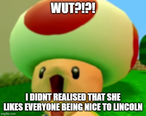 WUT?!?! I DIDNT REALISED THAT SHE LIKES EVERYONE BEING NICE TO LINCOLN | made w/ Imgflip meme maker