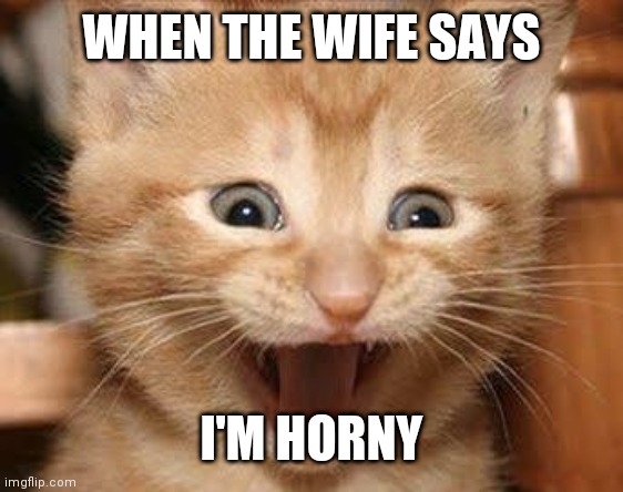 Excited Cat | WHEN THE WIFE SAYS; I'M HORNY | image tagged in memes,excited cat | made w/ Imgflip meme maker