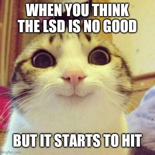 Smiling Cat Meme | WHEN YOU THINK THE LSD IS NO GOOD; BUT IT STARTS TO HIT | image tagged in memes,smiling cat | made w/ Imgflip meme maker