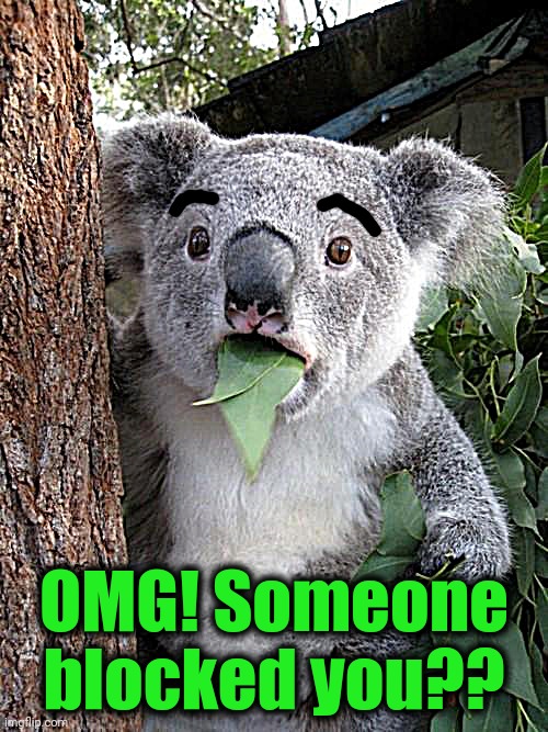 Surprised Koala Meme | OMG! Someone blocked you?? | image tagged in memes,surprised koala | made w/ Imgflip meme maker