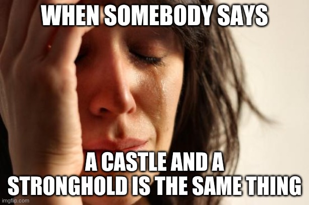 FOR THE LAST TIME, a stronghold is a military fortress, a castle is fortified | WHEN SOMEBODY SAYS; A CASTLE AND A STRONGHOLD IS THE SAME THING | image tagged in memes,first world problems,makes me so mad,love this stream though | made w/ Imgflip meme maker