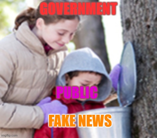 pity public | GOVERNMENT; PUBLIC; FAKE NEWS | image tagged in maple syrup kids | made w/ Imgflip meme maker