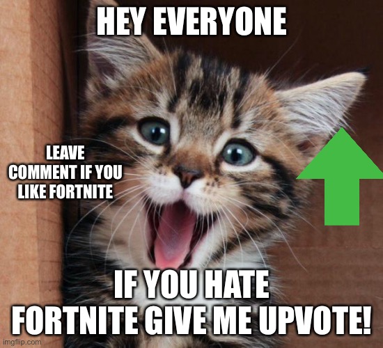 Happy cat | HEY EVERYONE; LEAVE COMMENT IF YOU LIKE FORTNITE; IF YOU HATE FORTNITE GIVE ME UPVOTE! | image tagged in happy cat,upvote | made w/ Imgflip meme maker
