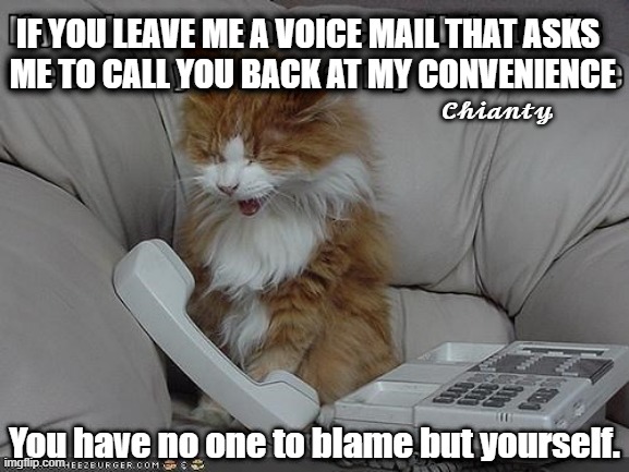 Voicemail | IF YOU LEAVE ME A VOICE MAIL THAT ASKS
 ME TO CALL YOU BACK AT MY CONVENIENCE; 𝓒𝓱𝓲𝓪𝓷𝓽𝔂; You have no one to blame but yourself. | image tagged in blame | made w/ Imgflip meme maker