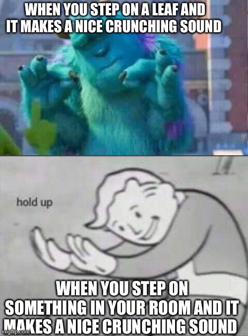 WHEN YOU STEP ON A LEAF AND IT MAKES A NICE CRUNCHING SOUND; WHEN YOU STEP ON SOMETHING IN YOUR ROOM AND IT MAKES A NICE CRUNCHING SOUND | image tagged in fallout hold up,sully shutdown | made w/ Imgflip meme maker