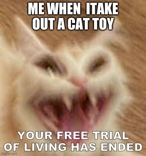 yfdsh | ME WHEN  ITAKE OUT A CAT TOY; YOUR FREE TRIAL OF LIVING HAS ENDED | image tagged in hfgvsj | made w/ Imgflip meme maker