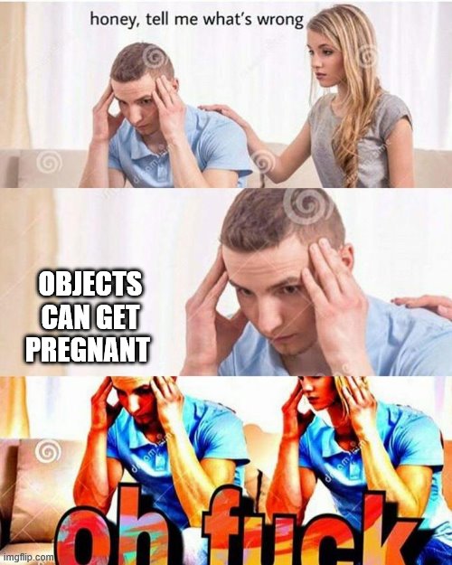 honey, tell me what's wrong | OBJECTS CAN GET PREGNANT | image tagged in honey tell me what's wrong | made w/ Imgflip meme maker