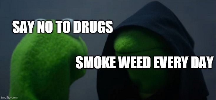 Evil Kermit Meme | SAY NO TO DRUGS; SMOKE WEED EVERY DAY | image tagged in memes,evil kermit | made w/ Imgflip meme maker