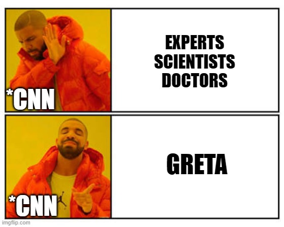 News Channels | EXPERTS
SCIENTISTS
DOCTORS; *CNN; GRETA; *CNN | image tagged in no - yes | made w/ Imgflip meme maker