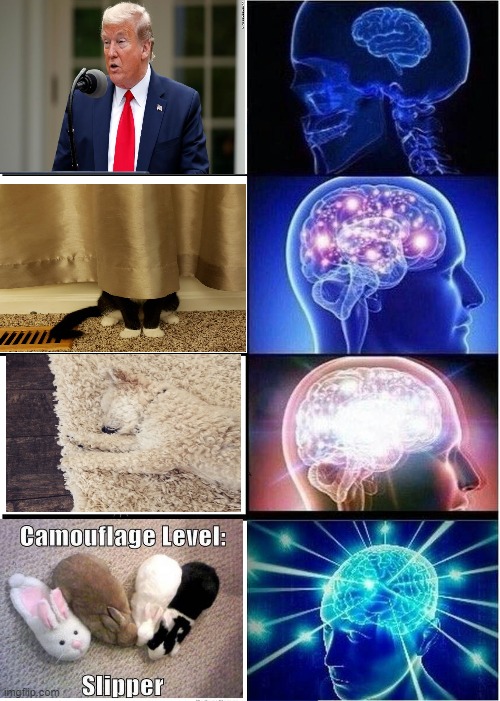 Forms of camouflage | image tagged in memes,expanding brain | made w/ Imgflip meme maker