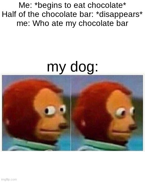 not me monkey | Me: *begins to eat chocolate*
Half of the chocolate bar: *disappears*
me: Who ate my chocolate bar; my dog: | image tagged in memes,monkey puppet | made w/ Imgflip meme maker