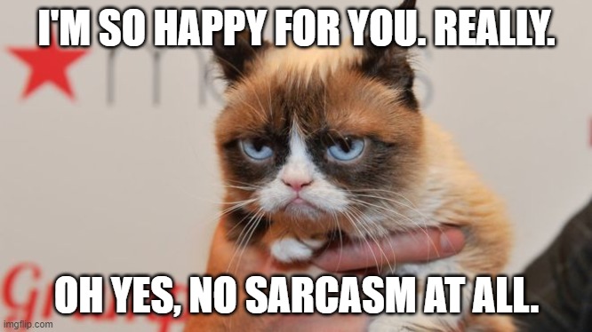 I'M SO HAPPY FOR YOU. REALLY. OH YES, NO SARCASM AT ALL. | made w/ Imgflip meme maker