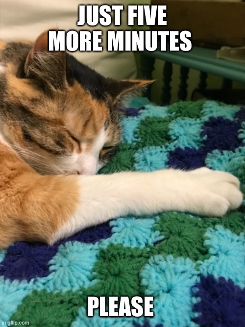 Five more minutes! | JUST FIVE MORE MINUTES; PLEASE | image tagged in funny | made w/ Imgflip meme maker